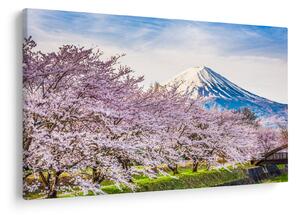Slika - Japan u proljeće (90x60 cm)