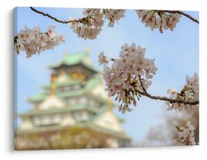 Slika - Sakura (70x50 cm)