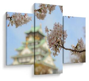 Slika - Sakura (90x60 cm)