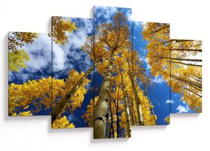 Slika - Aspen (150x105 cm)