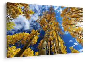 Slika - Aspen (90x60 cm)