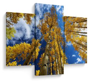 Slika - Aspen (90x60 cm)