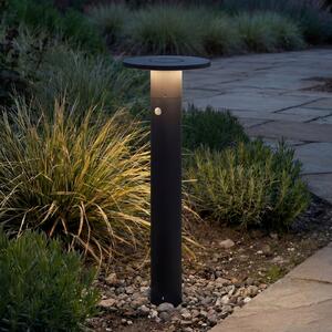 Arcchio LED svjetiljka za put Tovio, visina 81 cm, senzor, antracit, Crno, Aluminij
