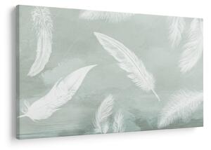 Slika - Bijelo perje (90x60 cm)