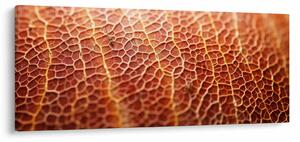 Slika - Detalj teksture (120x50 cm)