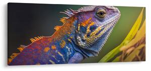Slika - Obojena iguana (120x50 cm)