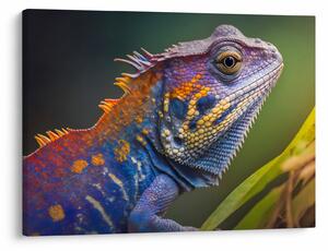 Slika - Obojena iguana (70x50 cm)