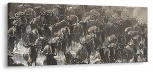Slika - Krdo gnuova (120x50 cm)
