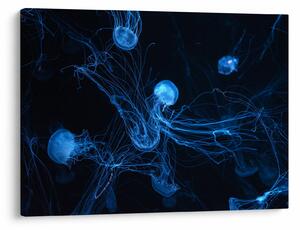 Slika - Meduza (70x50 cm)