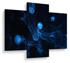 Slika - Meduza (90x60 cm)