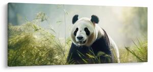 Slika - Panda (120x50 cm)