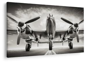 Slika - Warbird (90x60 cm)