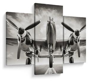 Slika - Warbird (90x60 cm)