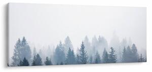 Slika - Maglovita šuma (120x50 cm)