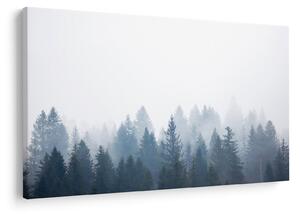 Slika - Maglovita šuma (90x60 cm)