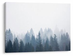 Slika - Maglovita šuma (70x50 cm)
