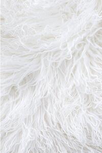 Bijelo krzno od tibetanske ovce Bonami Selection, 60 x 90 cm