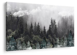 Slika - Šuma s ilustriranim elementima (90x60 cm)