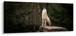 Slika - Zavijanje vuka (120x50 cm)