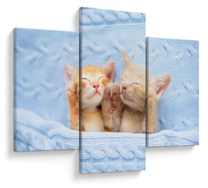 Slika - Mačići koji spavaju (90x60 cm)
