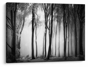 Slika - Vuk u mračnoj šumi (70x50 cm)