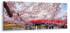 Slika - Hirosaki, Japan (120x50 cm)