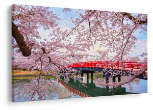 Slika - Hirosaki, Japan (90x60 cm)