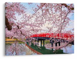 Slika - Hirosaki, Japan (70x50 cm)