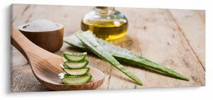 Slika - Aloe vera (120x50 cm)