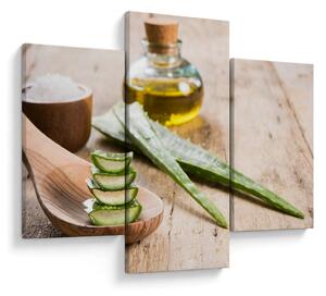 Slika - Aloe vera (90x60 cm)