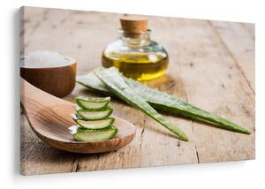 Slika - Aloe vera (90x60 cm)
