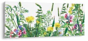 Slika - Slikano livadsko cvijeće (120x50 cm)
