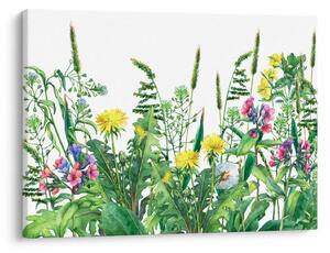 Slika - Slikano livadsko cvijeće (70x50 cm)