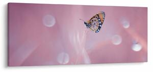 Slika - Leptir (120x50 cm)