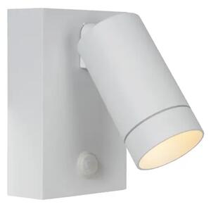 TAYLOR ZIDNI REFLEKTOR VANJSKI BIJELA 1xGU10 50W IP54 09831/01/31