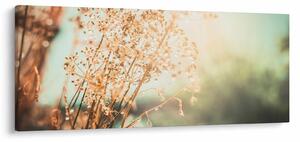 Slika - Biljke nakon kiše (120x50 cm)