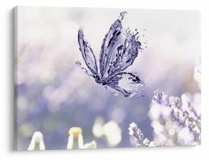 Slika - Leptir i lavanda (70x50 cm)