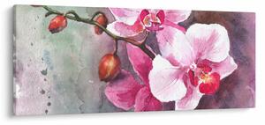 Slika - Orhideje, akvarel (120x50 cm)