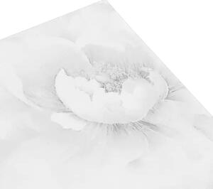 Posteljina Peony set s gornjom plahtom - Siva, 220x280/2x60x80 cm