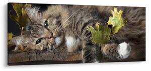 Slika - Lažljiva mačka (120x50 cm)