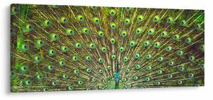 Slika - Paun (120x50 cm)