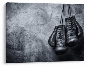 Slika - Boksačke rukavice (70x50 cm)
