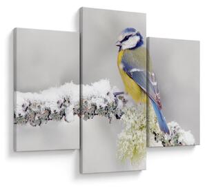 Slika - Plava sjenica u šumi (90x60 cm)