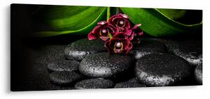 Slika - Kamenje od lave (120x50 cm)