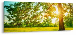 Slika - Sunčana šuma (120x50 cm)