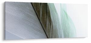Slika - Perje, makro (120x50 cm)