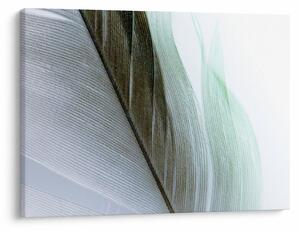 Slika - Perje, makro (70x50 cm)