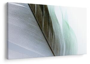 Slika - Perje, makro (90x60 cm)