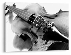 Slika - Violina (70x50 cm)