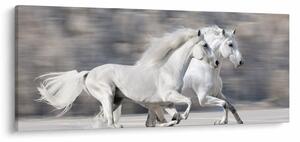 Slika - Bijeli konji zimi (120x50 cm)